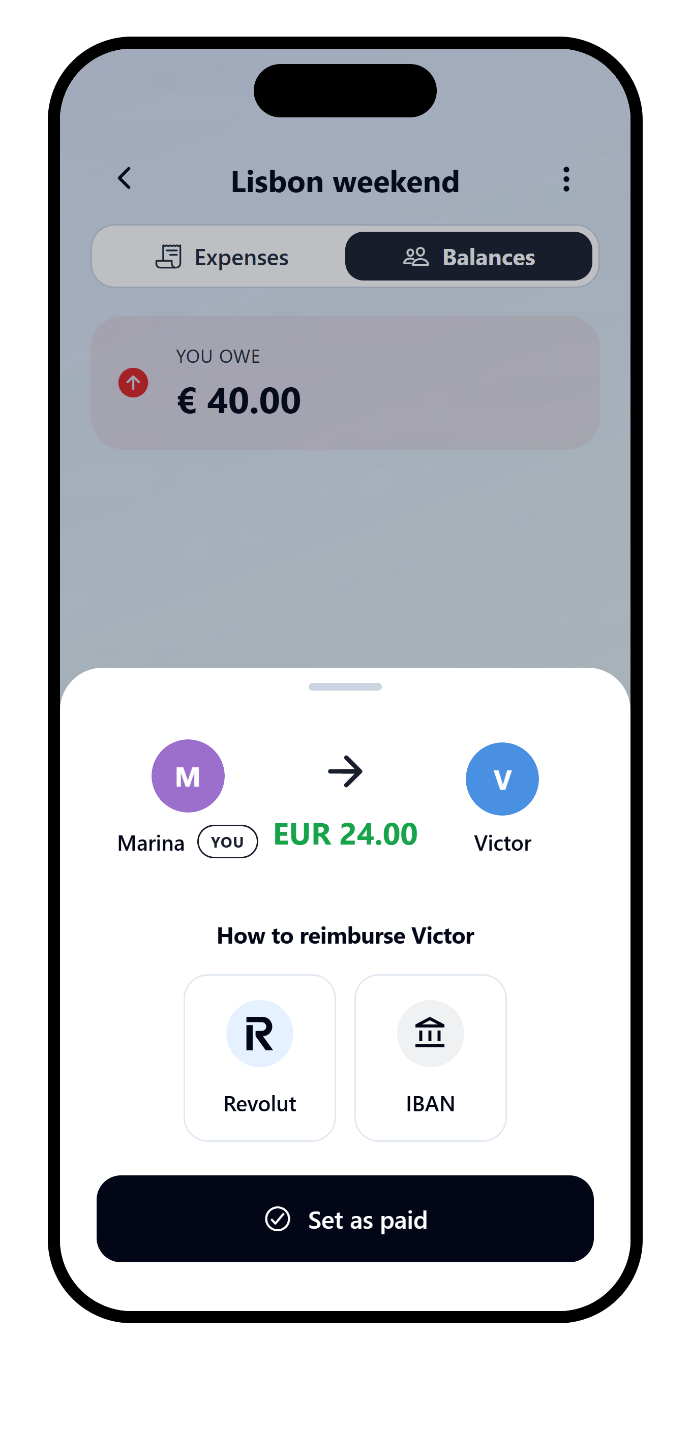 VAKKA repayment detail with Victor's Revolut and IBAN reimbursement methods.
